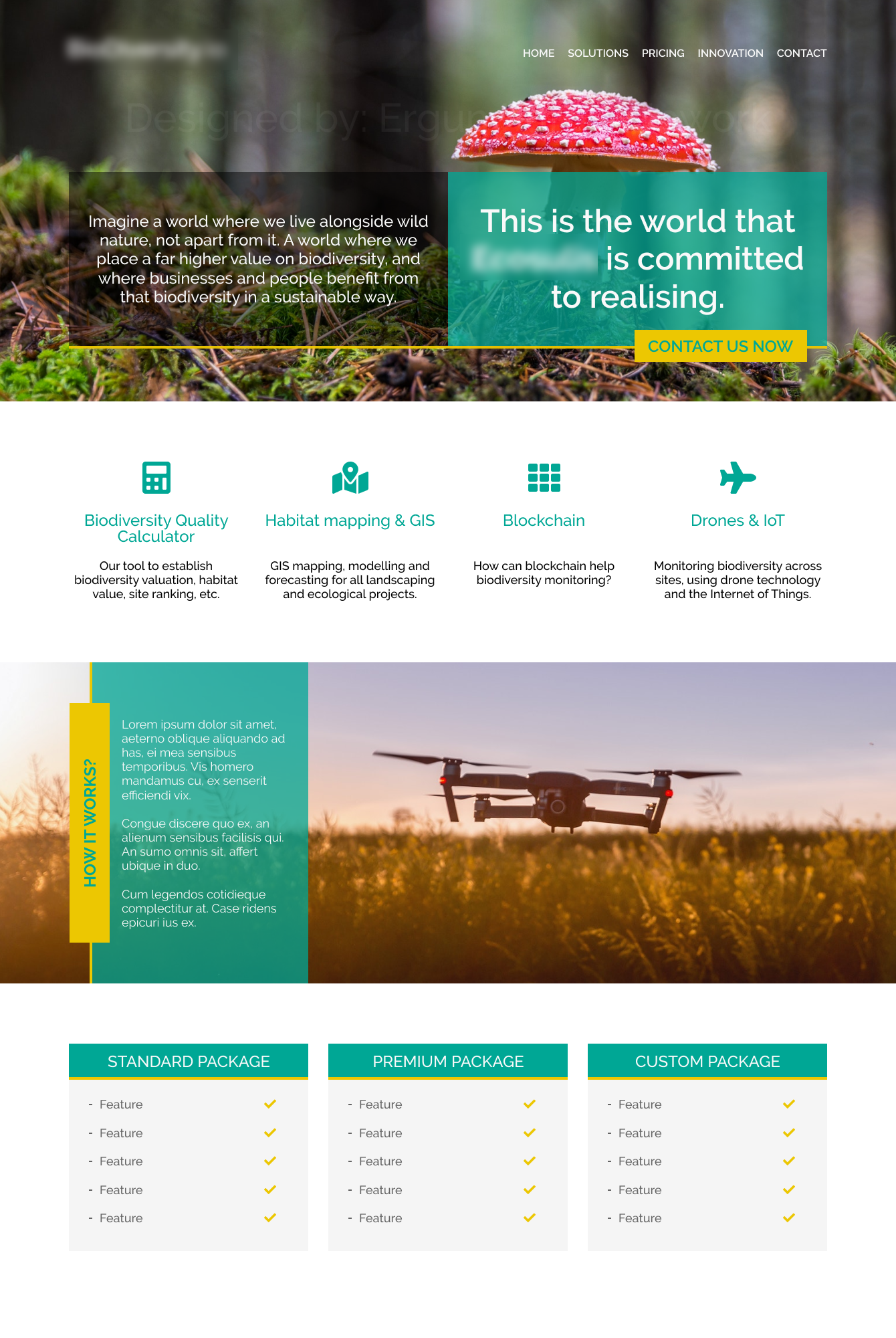 Web design draft